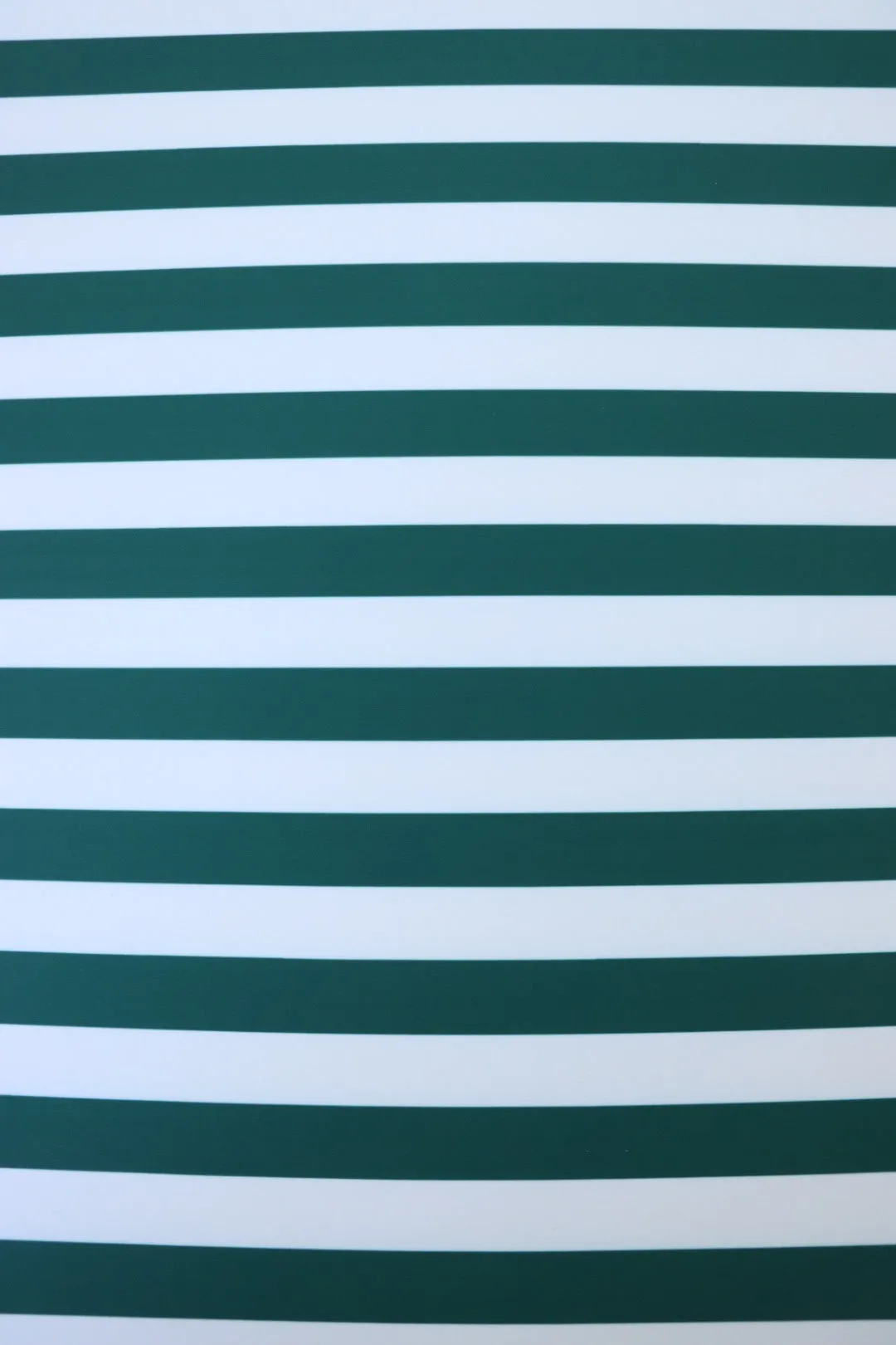 Spruce & White Horizontal 7/8" Stripe Nylon Spandex Tricot | Designer Deadstock